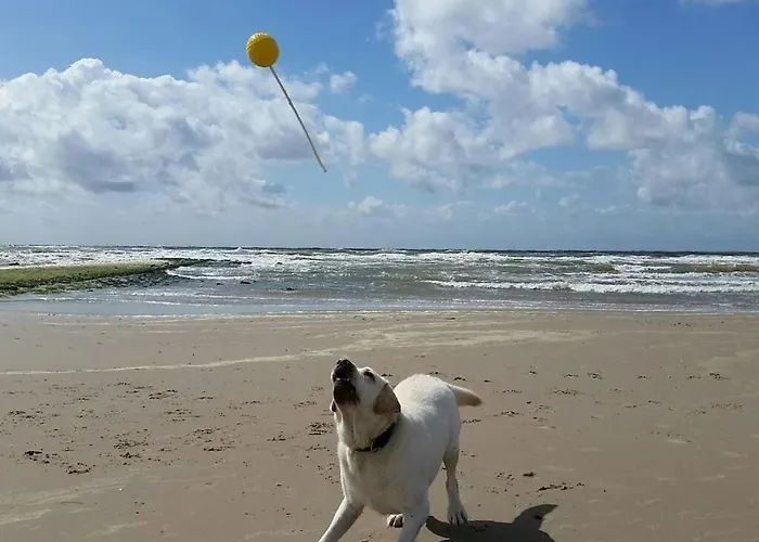 Schittering De Zee *